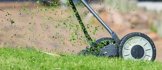 lawn care and mowing