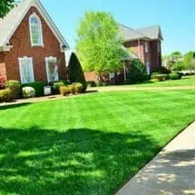Lawn