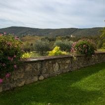 Retaining Wall With A View