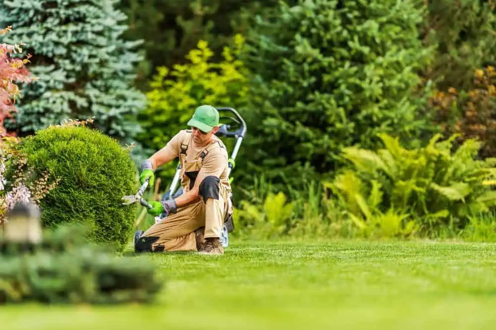 A gardener in a green cap and gloves crouches on a lush lawn, expertly trimming a round bush with shears as part of his meticulous landscaping. In the background, a lawnmower is surrounded by vibrant greenery and trees.