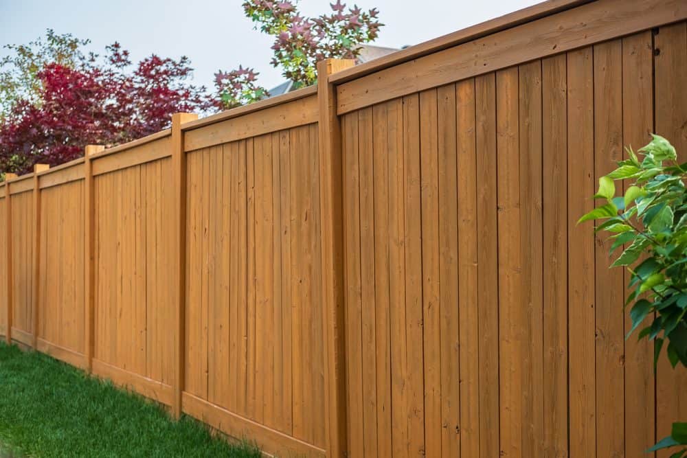A wooden privacy fence with vertical panels, supported by evenly spaced posts, runs along a stretch of neatly trimmed grass. In the background, vibrant red and green trees add a touch of nature, contrasting with the light brown color of the fence against a clear blue sky. For professional Fencing Services in Connecticut, this idyllic scene can be yours.