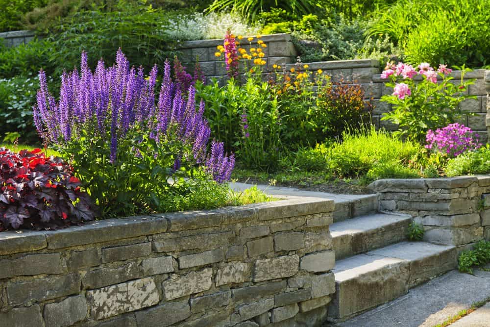 A terraced garden with stone retaining walls and steps adorned with vibrant flowers blooms in purple, pink, and yellow hues and lush green plants. This picturesque haven, enhanced by expert Landscaping Services Connecticut, creates a colorful and serene atmosphere inviting you up its charming stone steps.