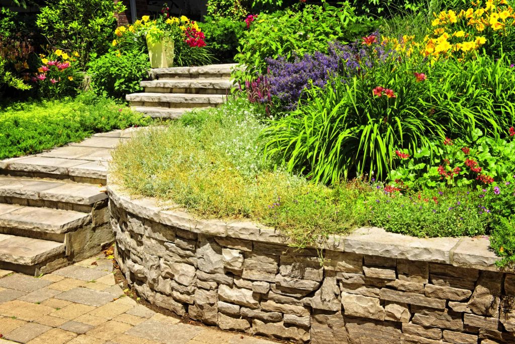A beautifully landscaped garden featuring a stone retaining wall and steps, leading up to a colorful array of flowers and green plants. Proudly offering Landscaping Services Connecticut, the garden is lush with vibrant blooms of yellow, red, and purple, surrounded by verdant foliage.