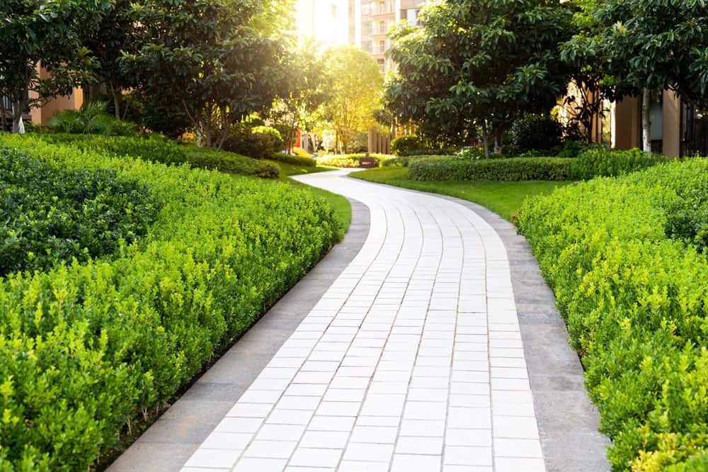 A sunlit, curved pathway paved with light-colored tiles winds through a lush green garden with well-manicured bushes and trees on either side. Soft sunlight filters through the foliage, creating a serene and inviting atmosphere, showcasing the exquisite craftsmanship of Masonry Services Connecticut.