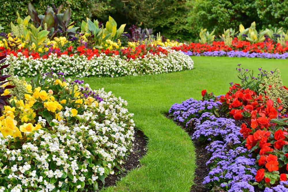 A vibrant garden with curving flower beds featuring an array of colorful flowers, including red, yellow, white, and purple. The neatly manicured green grass pathways wind through the garden, creating a picturesque and orderly floral display. Perfect for those seeking expert Landscaping Services in Connecticut.