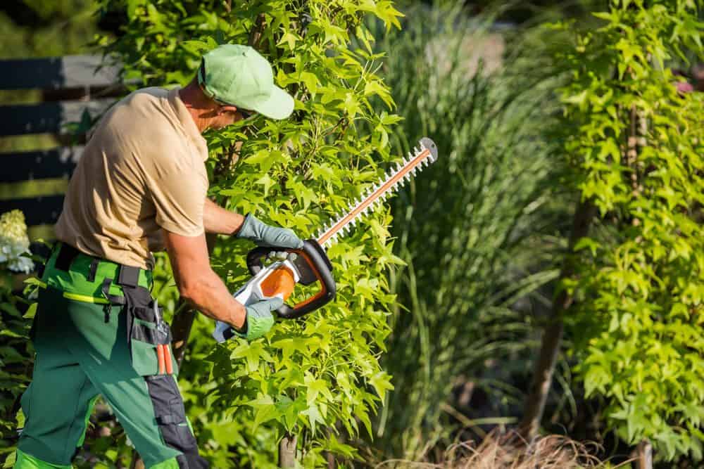 A gardener in green overalls and a green cap is using a hedge trimmer to trim a tall green bush. The surrounding area is lush and green, showcasing the quality of Landscaping Services Connecticut. The gardener is standing on grass, concentrating on his work, and wearing gloves for protection.