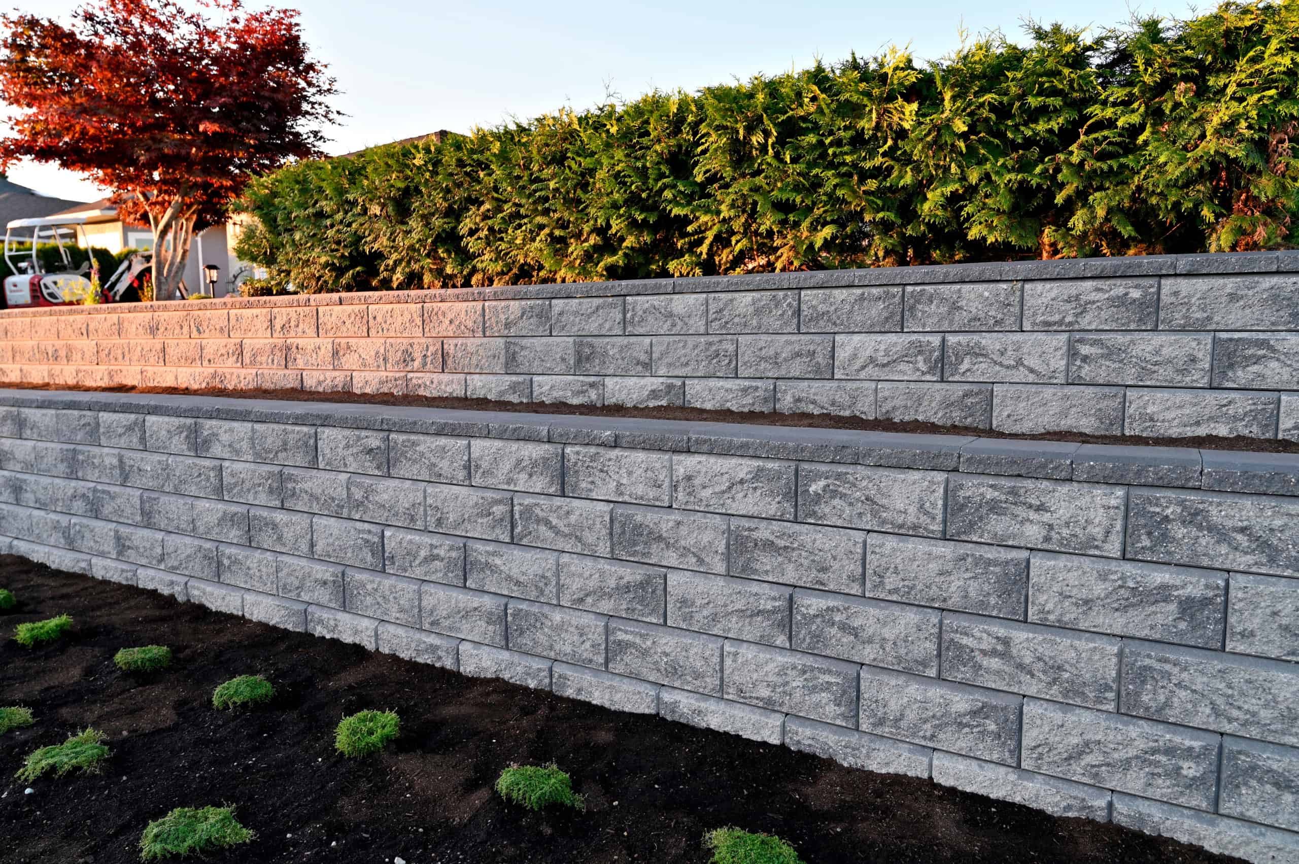 A landscaped garden featuring two tiers of gray stone retaining walls, courtesy of our Masonry Services Connecticut team, with lush green shrubs on the top tier. The ground in front of the walls is lined with small, freshly planted greenery. A tree with red foliage is visible on the left.