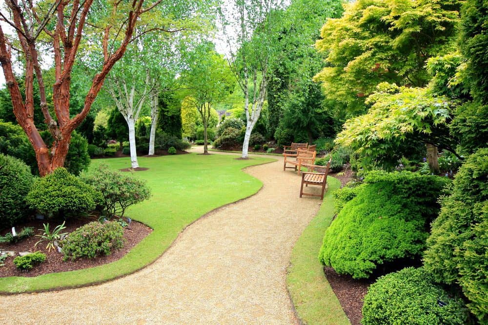 A serene garden path surrounded by lush greenery and trees. The winding gravel path, designed with advice from a fence contractor, is flanked by neatly trimmed bushes and leads to wooden benches placed along the way. The vibrant foliage creates a tranquil atmosphere under the bright, overcast sky.