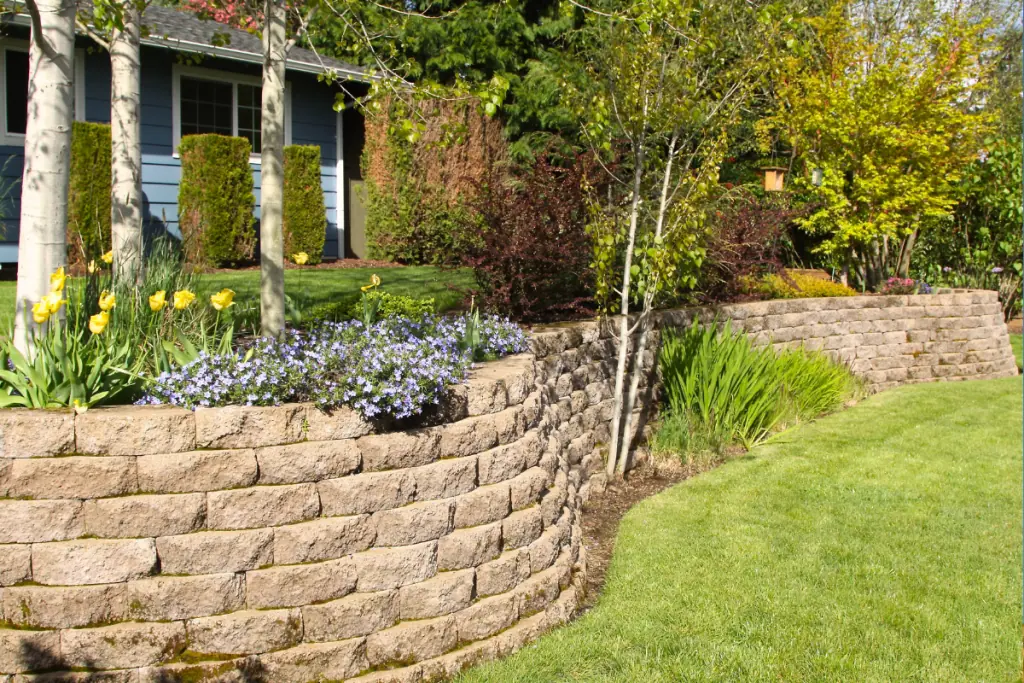 A sunny garden with a curved stone retaining wall lined with purple and yellow flowers. Behind the wall are small trees and a variety of plants, and a well-maintained lawn in the foreground. A house is partially visible in the background.