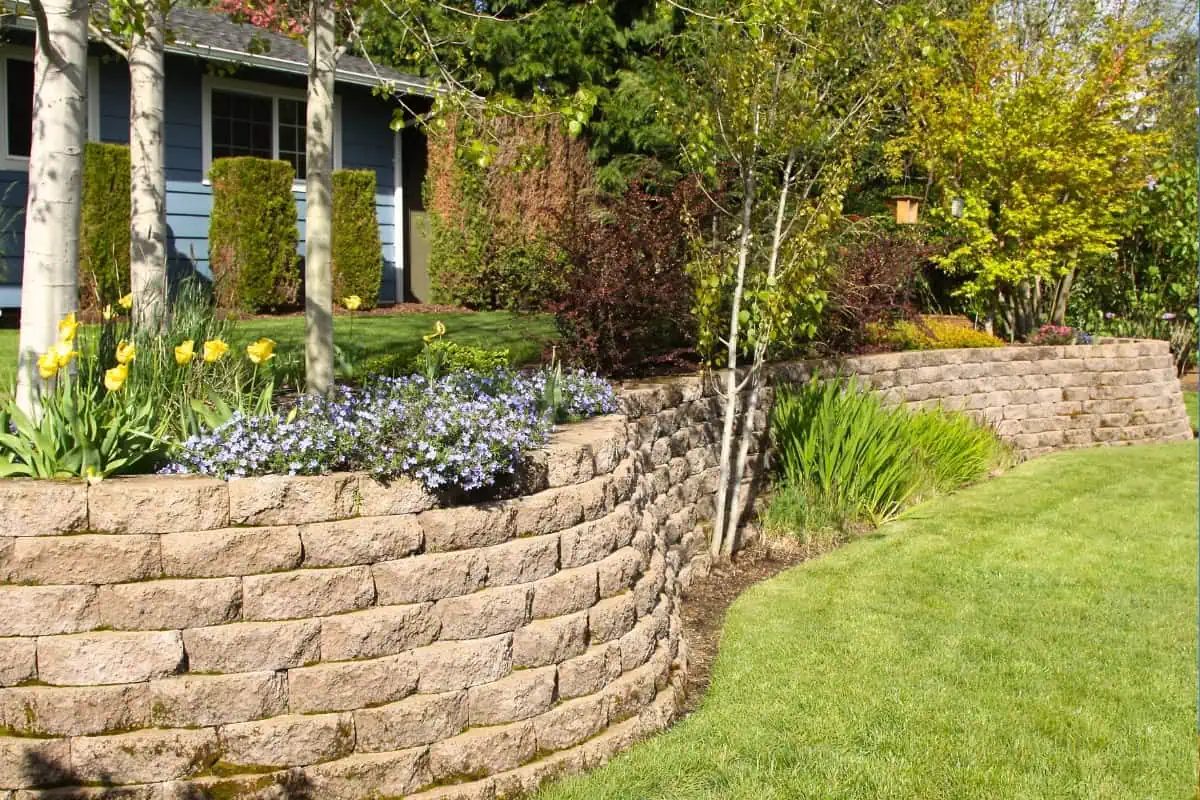 A sunny garden with a curved stone retaining wall lined with purple and yellow flowers. Behind the wall are small trees and a variety of plants, and a well-maintained lawn in the foreground. A house is partially visible in the background.
