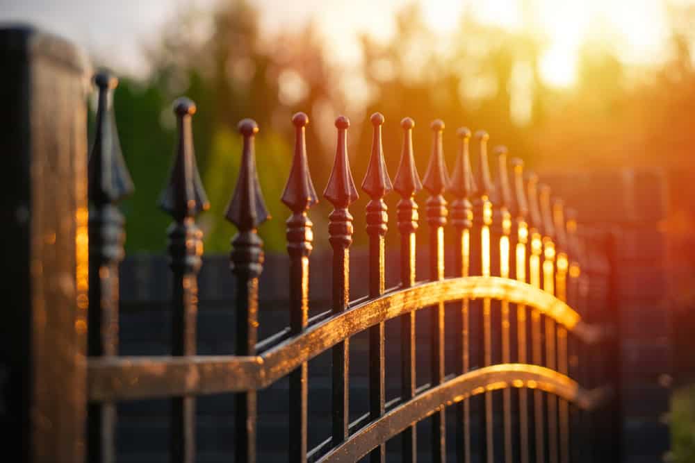 Aluminum fencing with decorative spear-like finials glistens in the warm glow of the setting sun. The blurred background features greenery and trees, enhancing the golden light's effect.