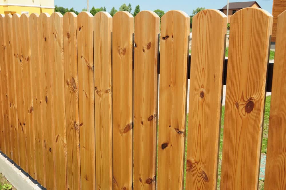 A close-up view of a wooden picket fence with vertical planks, natural wood grain, and knots visible, set outdoors on a sunny day with grass and buildings in the background.