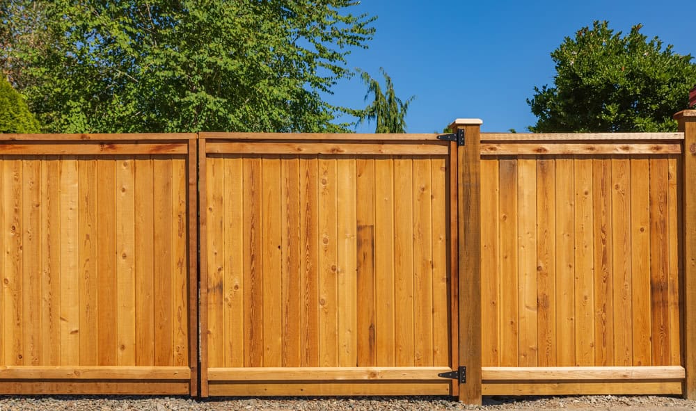 A tall wooden fence with vertical planks, framed by sturdy posts, stands in front of green trees and bushes under a clear blue sky.