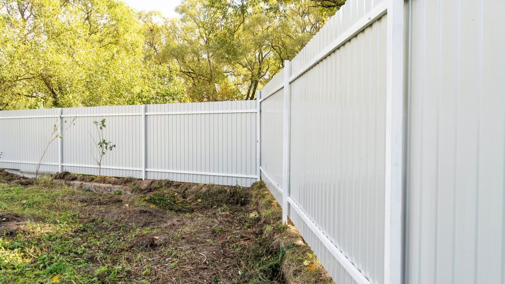 A white vinyl privacy fence runs along the edge of a grassy yard with some small trees and bushes, bordered by tall green trees in the background under daylight.